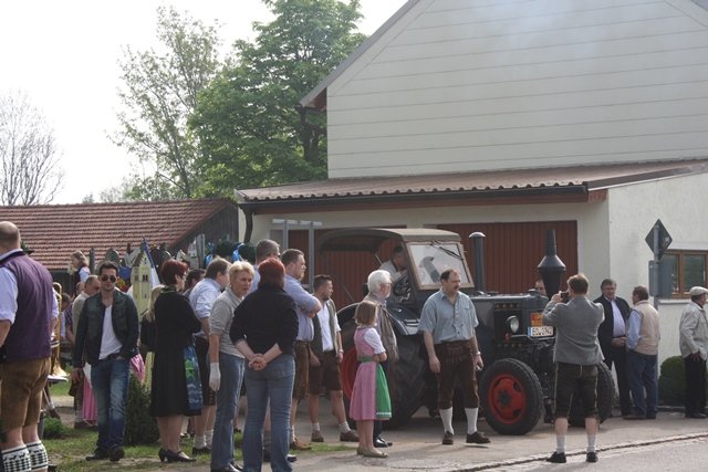 Maibaum 2013